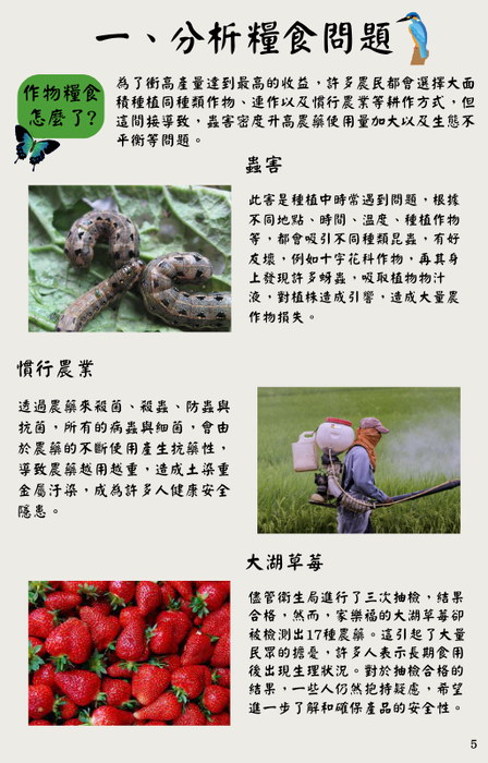 green illustration children book e-book cover green illustration children book e-book cover