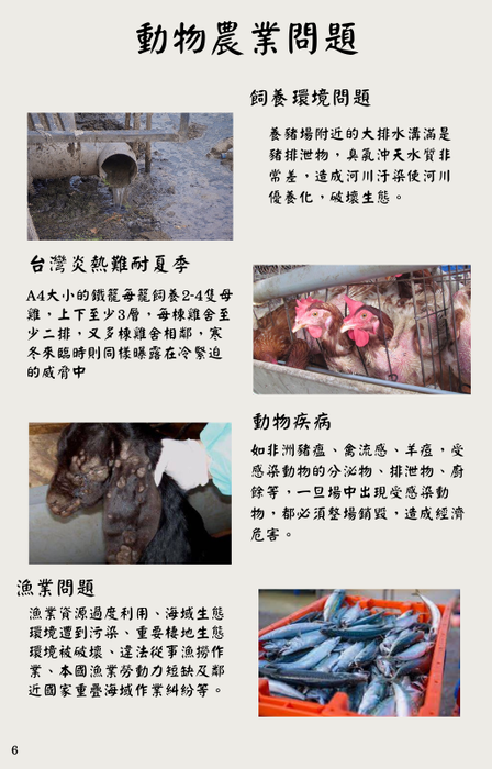 green illustration children book e-book cover green illustration children book e-book cover