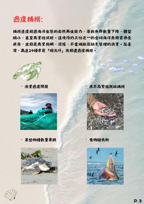 守護家園的英雄 (1)