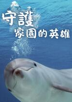 守護家園的英雄