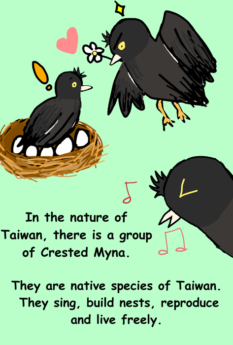 1000004880 1000004880