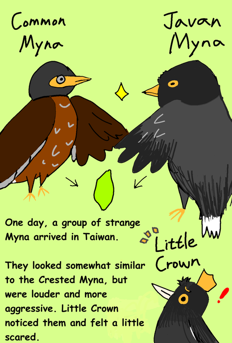 1000004881 1000004881