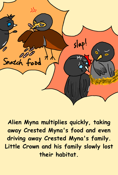 1000004882 1000004882