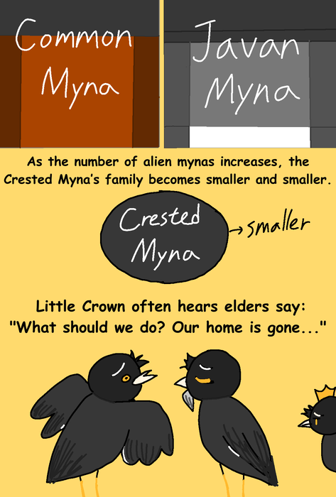 1000004883 1000004883