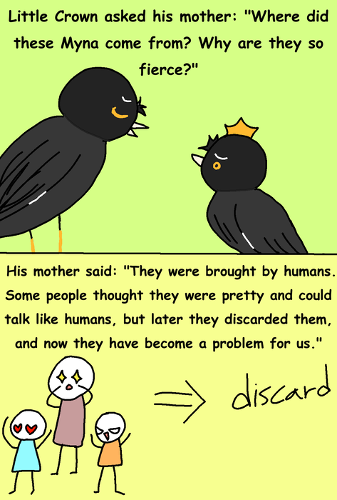 1000004884 1000004884