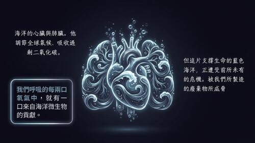 新增少量內文文字