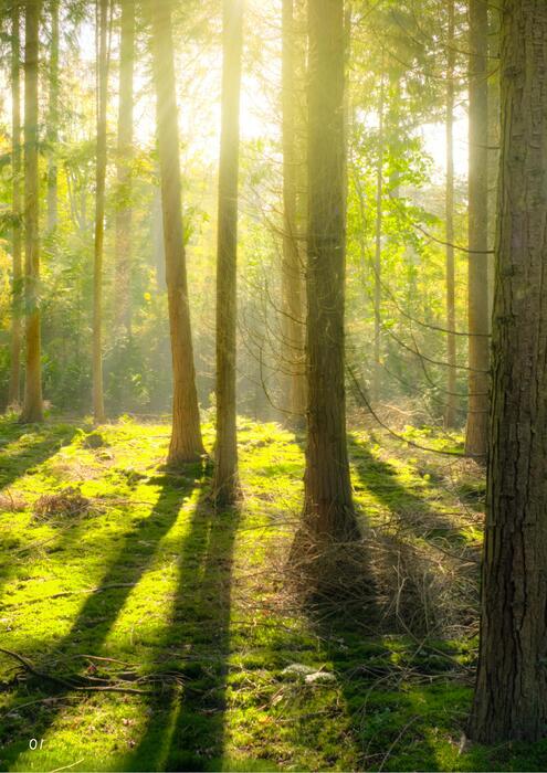 ai電子書範本_7b 的複本