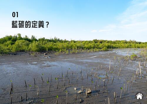 第一段 藍碳的定義？