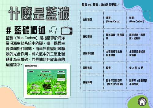 什麼是藍碳