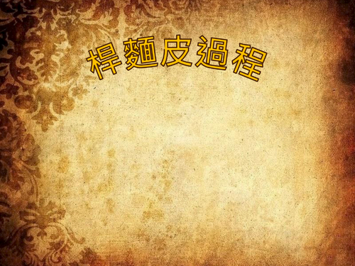 pizzapdf版2 pizzapdf版2