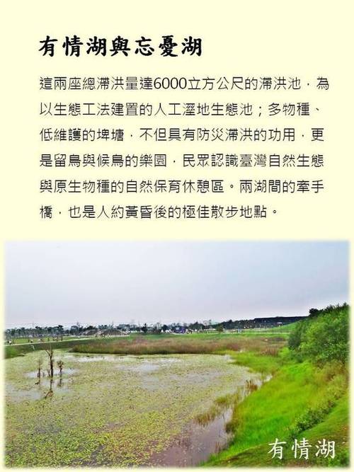 投影片6 投影片6