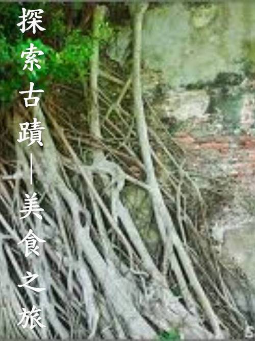 安平古堡簡介封面 安平古堡簡介封面