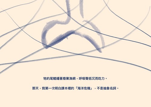 鯨魚危機-廢棄漁網