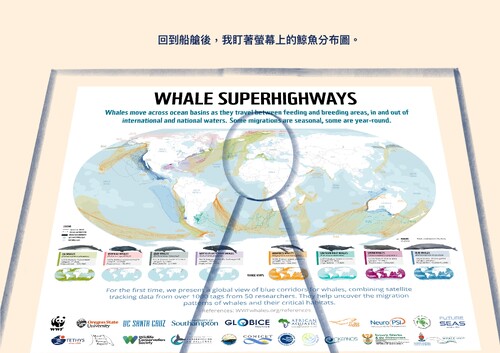 《世界自然基金會(WWF)》-《保護藍色走廊(Protecting Blue Corridors)》