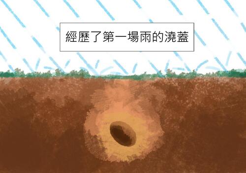 電子繪本-樹的一生