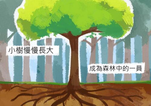 電子繪本-樹的一生