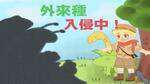 外來種入侵中