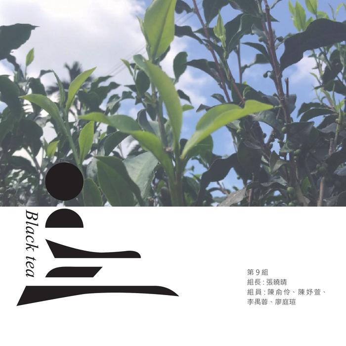 09專刊 09專刊