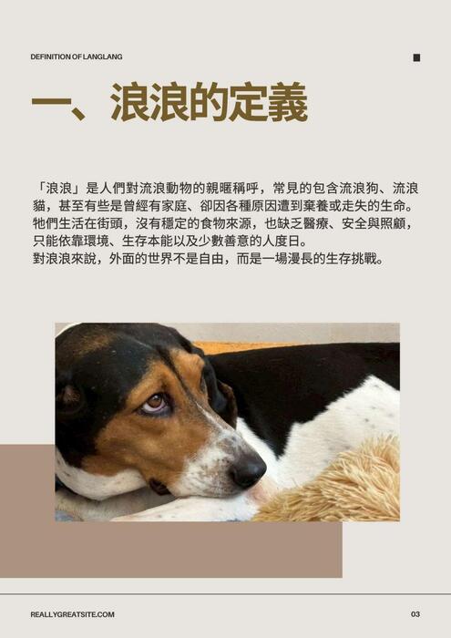 浪浪視野下的我們-電子書_compressed (1)