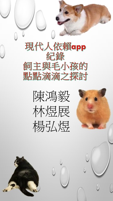 投影片1 投影片1