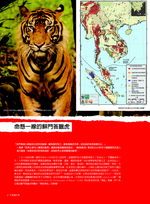 紙猛於虎報告書 紙猛於虎報告書