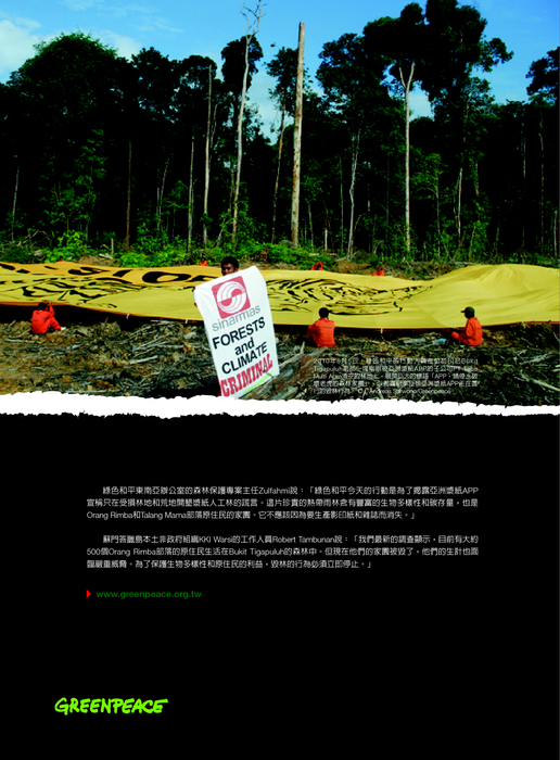 紙猛於虎報告書 紙猛於虎報告書