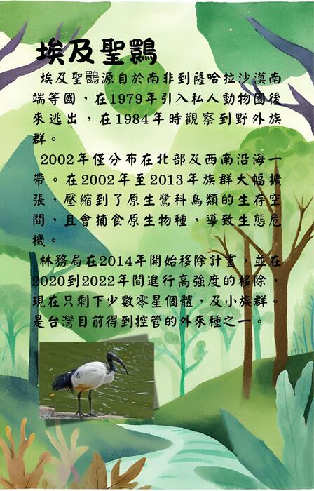外來種與永續挑戰