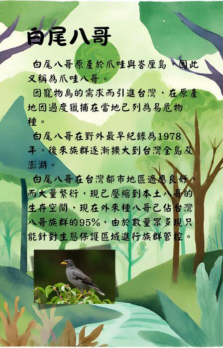 外來種與永續挑戰