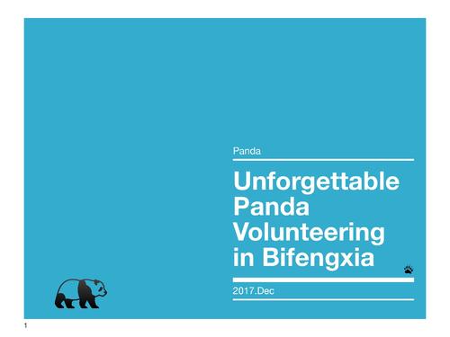 new unforgettable panda volunteering  in bifengxia 2017.dec 較佳