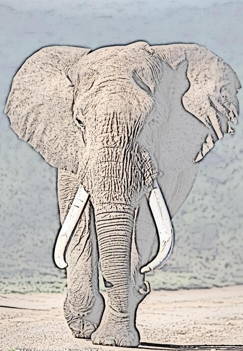 大象1