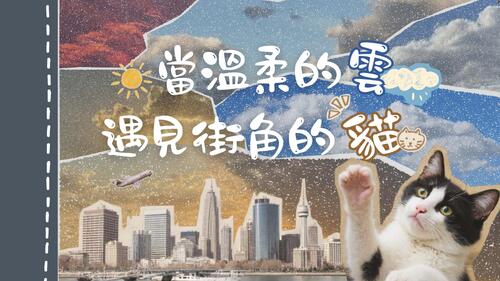 當溫柔的雲 遇見街角的貓