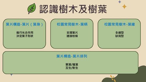 (電子書) sdgs永續發展教育課程:葉脈裡的永續智慧 (電子書) sdgs永續發展教育課程:葉脈裡的永續智慧