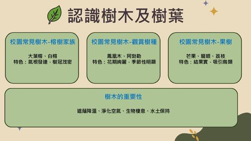 (電子書) sdgs永續發展教育課程:葉脈裡的永續智慧 (電子書) sdgs永續發展教育課程:葉脈裡的永續智慧