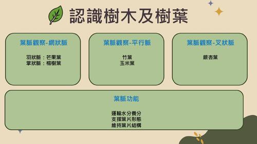 (電子書) sdgs永續發展教育課程:葉脈裡的永續智慧 (電子書) sdgs永續發展教育課程:葉脈裡的永續智慧