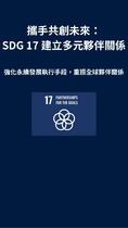 SDGs 17 多元夥伴關係簡要手冊