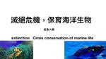 滅局危機，保育海洋生物