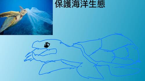保護海洋生態 — 台東成小502-弱勢團體