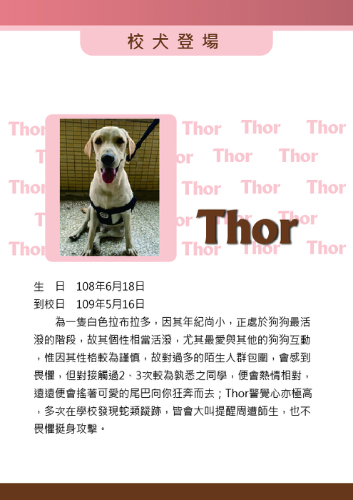 校犬登場-Thor