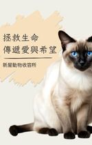 拯救生命傳遞愛與希望-新屋動物收容所