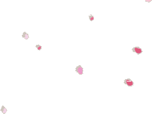電子花車產業分析報告 (1)