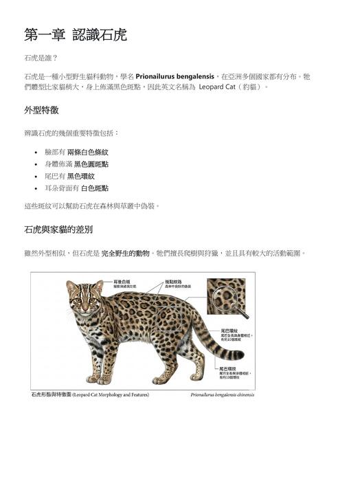 石虎保育電子書範本