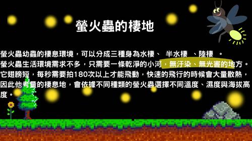 螢火蟲大揭密 螢火蟲大揭密