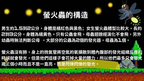 螢火蟲大揭密 螢火蟲大揭密