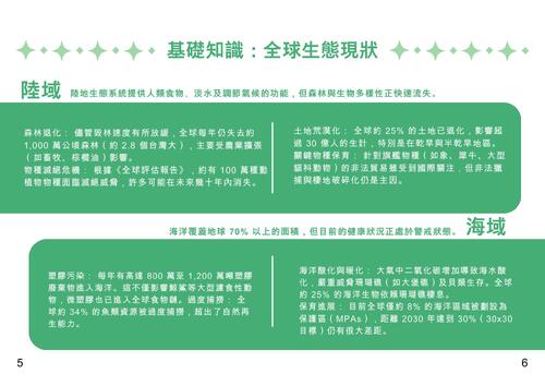 薯條五兄弟  (3)