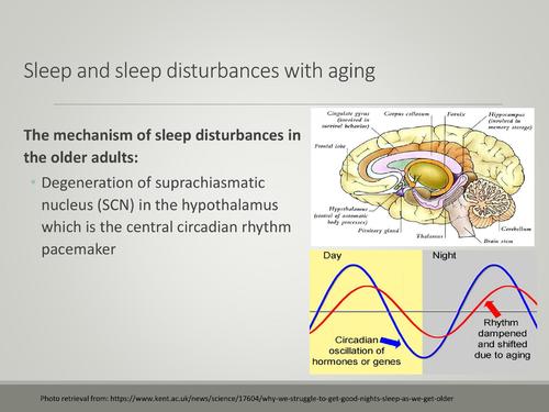 sleep-with-aging-and-health-sleep-promotion_anyun-yeh