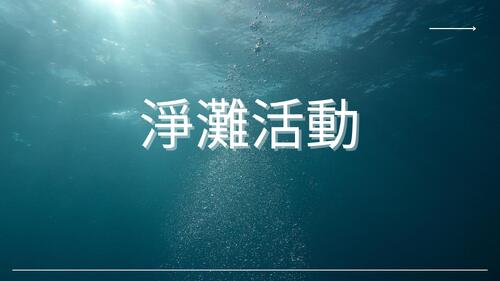 淨灘followme彈性課程