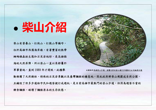 「柴」「壽」兼備——探索柴山之旅 「柴」「壽」兼備——探索柴山之旅