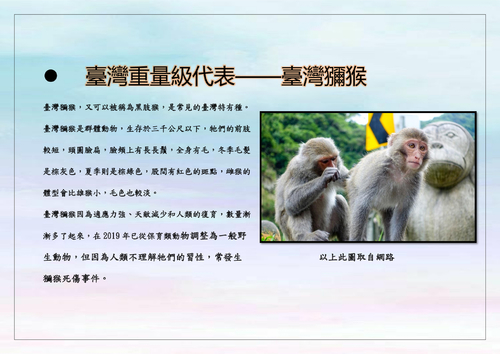 「柴」「壽」兼備——探索柴山之旅 「柴」「壽」兼備——探索柴山之旅