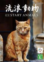 流浪動物