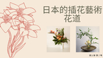 日本的插花藝術「花道」